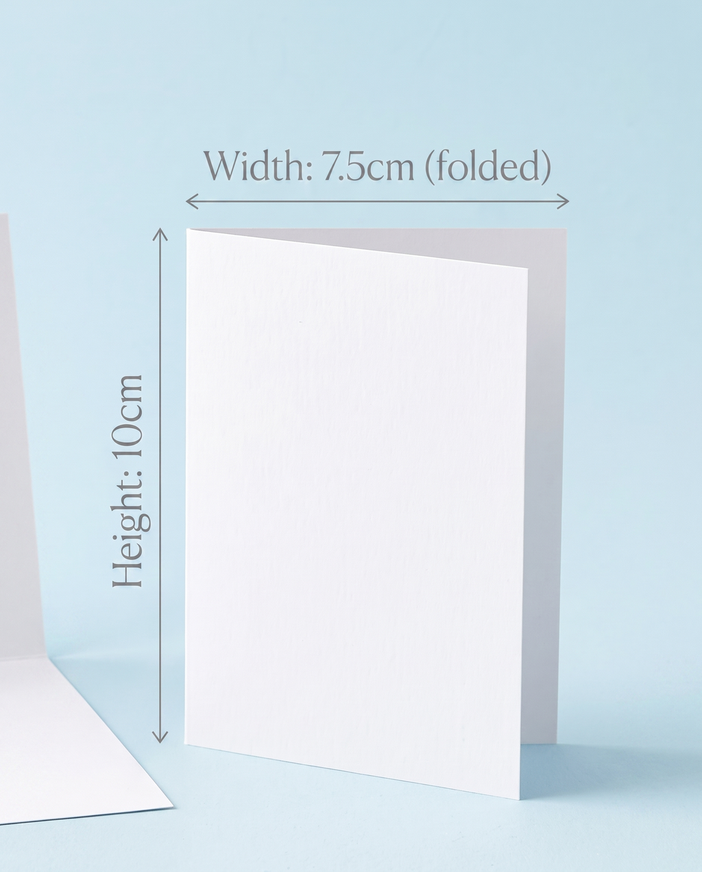 Seize the Day Squad Card