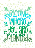 Bloom Where Planted Green Card