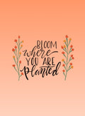 Bloom Where Planted Orange Card